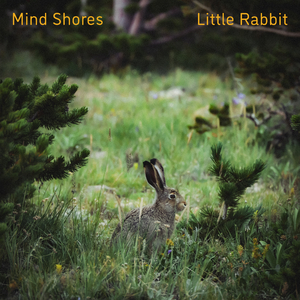 五十路肥臀老熟女BBw
