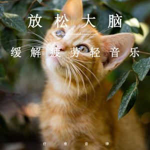 五十路肥臀老熟女BBw
